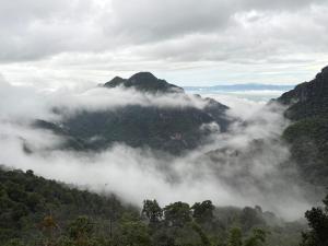 Paesaggio naturale nelle vicinanze della stanza in casa privata