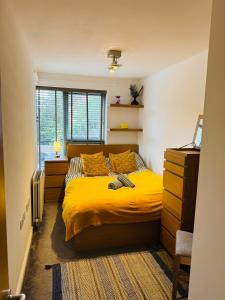 IfieldにあるFly Hi-Town Centre Apartmentのベッドルーム1室(黄色いベッド1台、窓付)