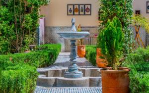 Zahrada ubytování Riad 4 Jardins & Spa