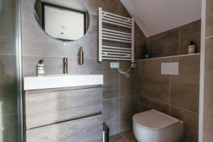 een badkamer met een wastafel, een toilet en een spiegel bij Bos, duin en strand huisje in Noordwijk
