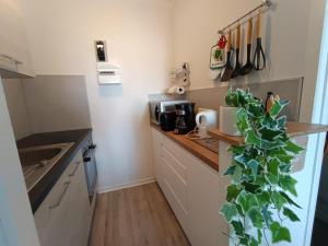 a kitchen with a green plant on the counter at APPARTEMENT à 5 mn de la plage in Saint-Hilaire-de-Riez