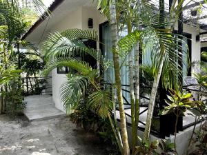 パンガン島にあるBaan Sam3 studio in Thong Salaのヤシの木がたくさん立ち並ぶ家 +4枚の写真