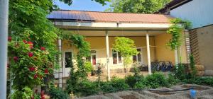 Zahrada ubytování Sim-Sim Hostel