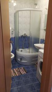 a bathroom with a shower and a toilet and a sink at MiNa Apartments in Petrovac na Moru