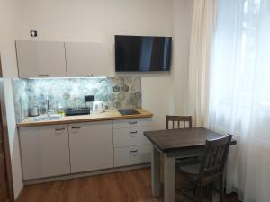 Kuchyň nebo kuchyňský kout v ubytování 4 STRONY ŚWIATA Pokoje i Apartamenty