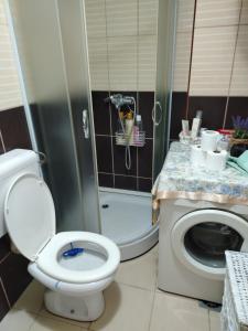 a bathroom with a toilet and a shower at Apartman Mira in Požarevac +19 photos