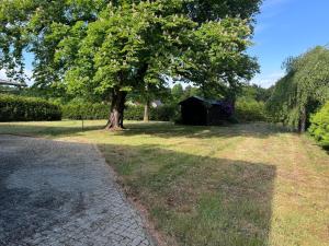 a tree in the middle of a field with a building at Motel auf der Alm in Soltau
