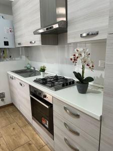 Kuchyň nebo kuchyňský kout v ubytování Parisa Home