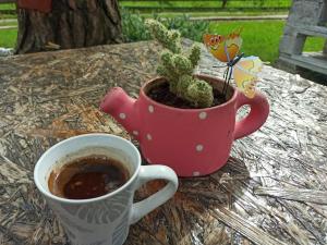 Tiện nghi pha trà/cà phê tại Kuća za odmor-Aleksandra