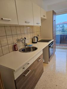 a kitchen with a sink and a counter top at Leuna bei Leipzig & Halle - 2 Apartments mit je 3 Schlafzimmern, Küche, Bad in Leuna
