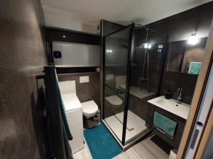 a bathroom with a shower and a toilet and a sink at Studio in Chambéry