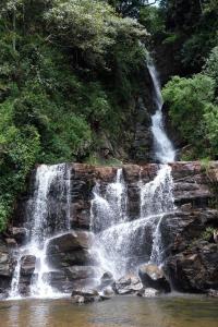 Paesaggio naturale nelle vicinanze della stanza in casa privata