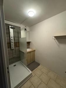 a bathroom with a shower and a sink at Location chambre rouge dans un appartement en colocation in Nevers +25 photos