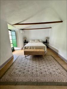 a bedroom with a bed and a rug at Espectacular Casa Cordobesa in Córdoba