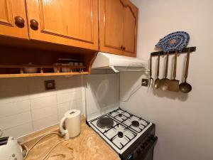 A kitchen or kitchenette at Duplex House on the Castle Road with a Seaview