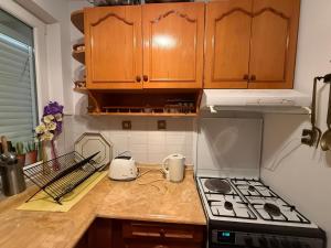 A kitchen or kitchenette at Duplex House on the Castle Road with a Seaview