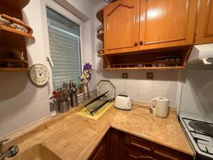 A kitchen or kitchenette at Duplex House on the Castle Road with a Seaview