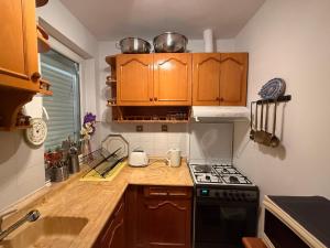 A kitchen or kitchenette at Duplex House on the Castle Road with a Seaview