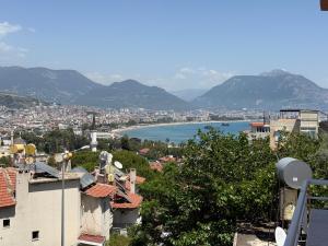 Táj Show holiday homes közelében