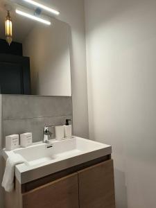 a bathroom with a white sink and a mirror at Appartement Love Room avec Jacuzzi Privatif in Bourg-Argental