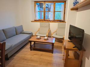 a living room with a couch and a tv at Isard Apartment in Pla de l'Ermita