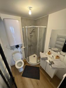 Ένα μπάνιο στο logement 5 tout confort gare centre