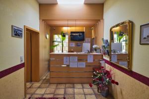 TV a/nebo společenská místnost v ubytování Hotel Krone Riesling