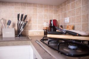 Φωτογραφία από το άλμπουμ του Minerva's Heart στο Αλγκέρο