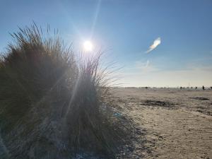 Příroda nedaleko prázdninového domu