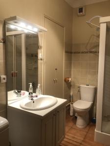 Koupelna v ubytování Appartement T2 60 m2 l'Albion vue lac 1 chambre parking et piscine, centre-ville + 7 fotografií
