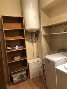 a small bathroom with a sink and a washing machine at Appartement T2 60 m2 l'Albion vue lac 1 chambre parking et piscine, centre-ville in Aix-les-Bains