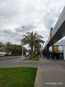 Fotografie z fotogalerie ubytování Dama d'Elx v destinaci Elche