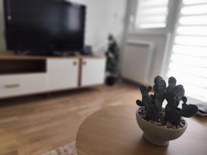 TV a/nebo společenská místnost v ubytování Apartment Sandra