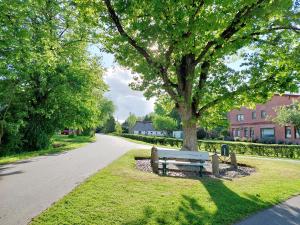 un banco de parque bajo un árbol al lado de una carretera en Ferienwohnung Im Landhaus, en Stelle-Wittenwurth