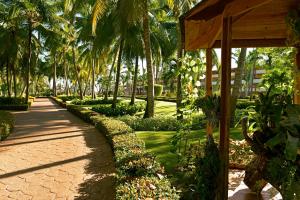 Zahrada ubytování Iberostar Waves Punta Cana