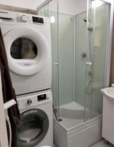 a washing machine in a bathroom with a shower at Cozy apartment in Baia Mare