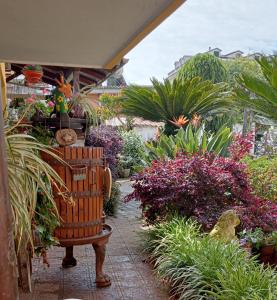 a garden with a bench and some plants at Casa David in Cava deʼ Tirreni
