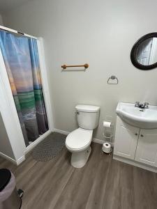 a bathroom with a toilet and a shower and a sink at Whale Cove Suites in Digby +15 photos
