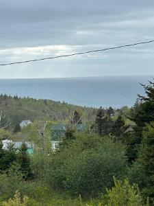 a view of the ocean from a hill with trees at Whale Cove Suites in Digby +15 photos