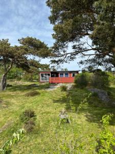 een rood huis op een grasveld bij Nilsen in Fredrikstad