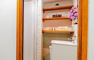 a bathroom with a sink and a toilet and shelves at Apartman Jagoda - Vela Luka by Villas Guide in Vela Luka +12 photos