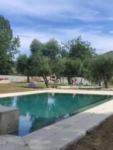una piscina in un cortile con alberi sullo sfondo di Retiro Maria Idalina ad Amarante Altre 5 foto