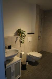 a bathroom with a toilet and a sink at Ferienwohnungen Rosengarten in Mommenheim