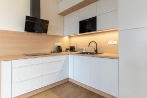 A kitchen or kitchenette at SOLARIS APARTMÁNY Pálava