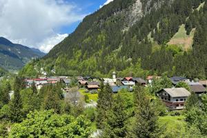 a village in the mountains with trees and houses at Casa Romantica - ein Alpiner Traum in Partenen