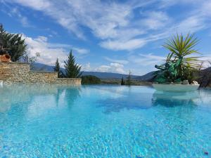 a large swimming pool with blue water and plants at Le Point Sublime – Villa de Charme à Vaison la Romaine in Vaison-la-Romaine