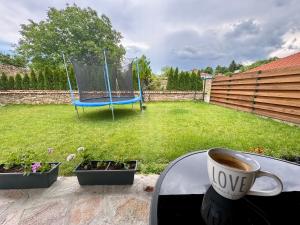 Billede fra billedgalleriet på Петропавловската Къща i Lyaskovets