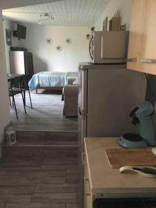 a kitchen with a microwave on top of a refrigerator at Studio à 50M de la mer avec SPA in Grandcamp-Maisy +7 photos