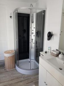 a bathroom with a shower and a white sink at Studio à 50M de la mer avec SPA in Grandcamp-Maisy