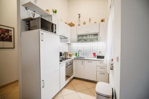 Kuchyň nebo kuchyňský kout v ubytování Apartment Tomislav